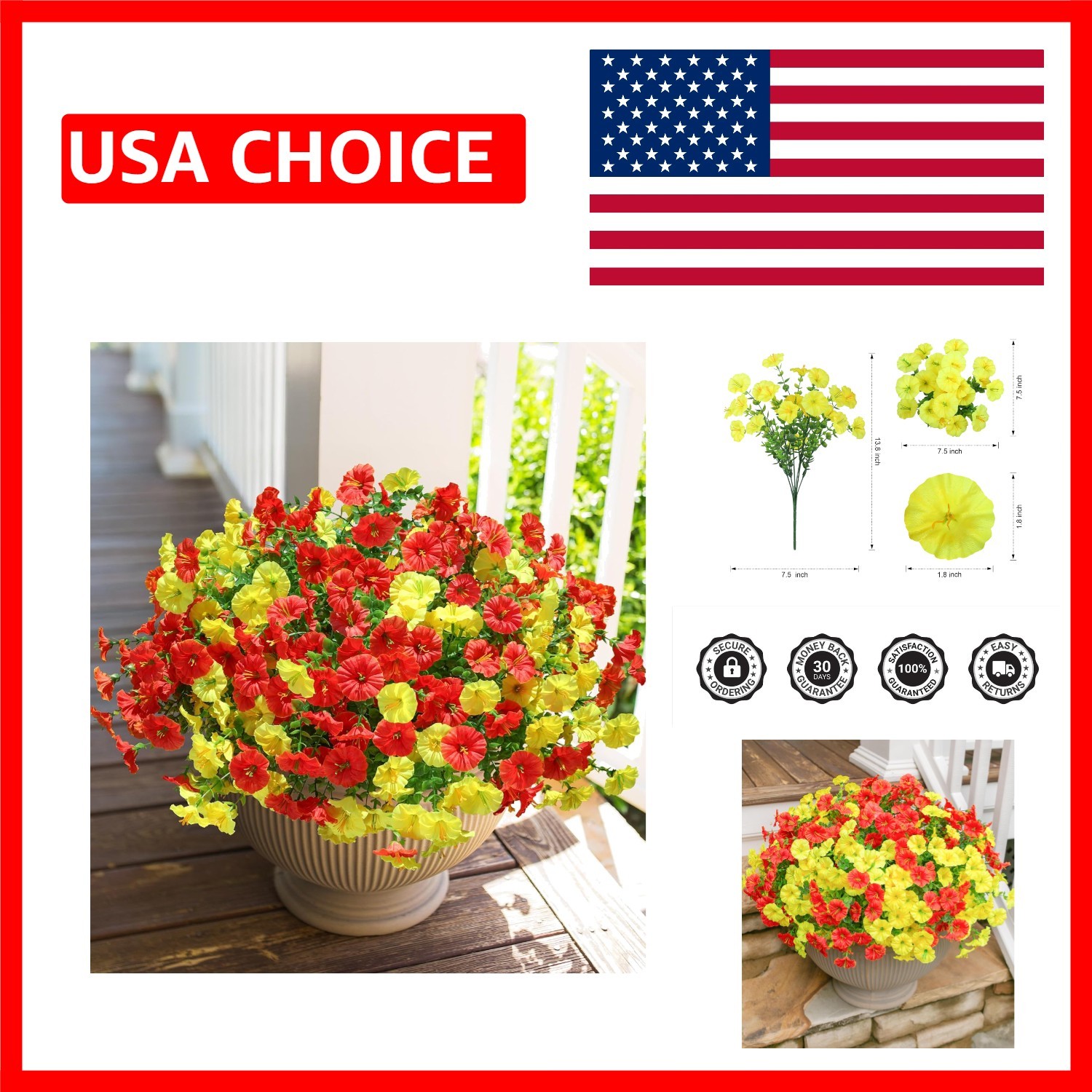 12 Bundles of Low Maintenance Morning Glory – Perfect for Indoor & Outdoor Use