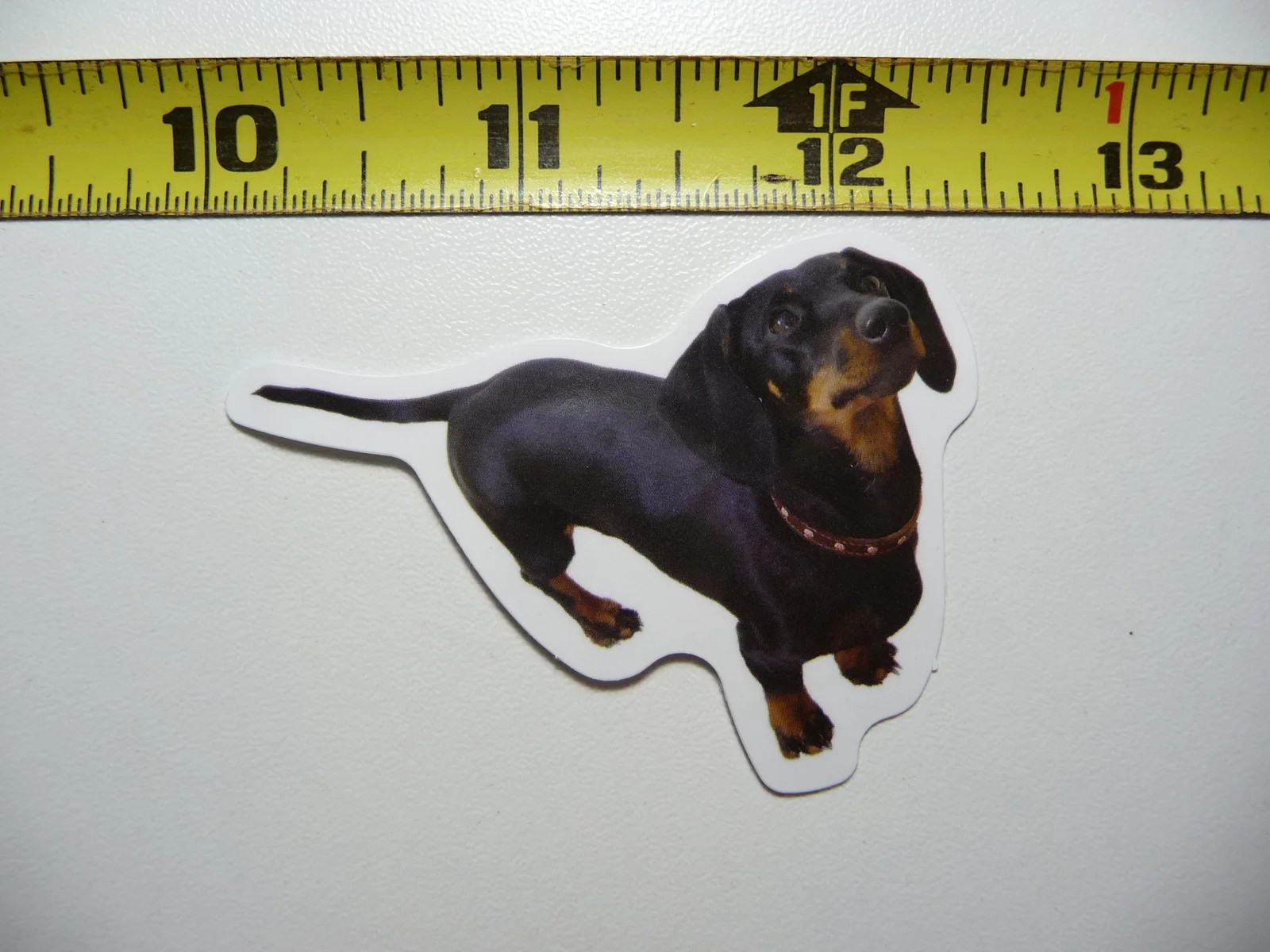 DACHSHUND SMALL STICKER DECAL WAITING FOR SPECIAL TREAT DOG SO PET PRIDE