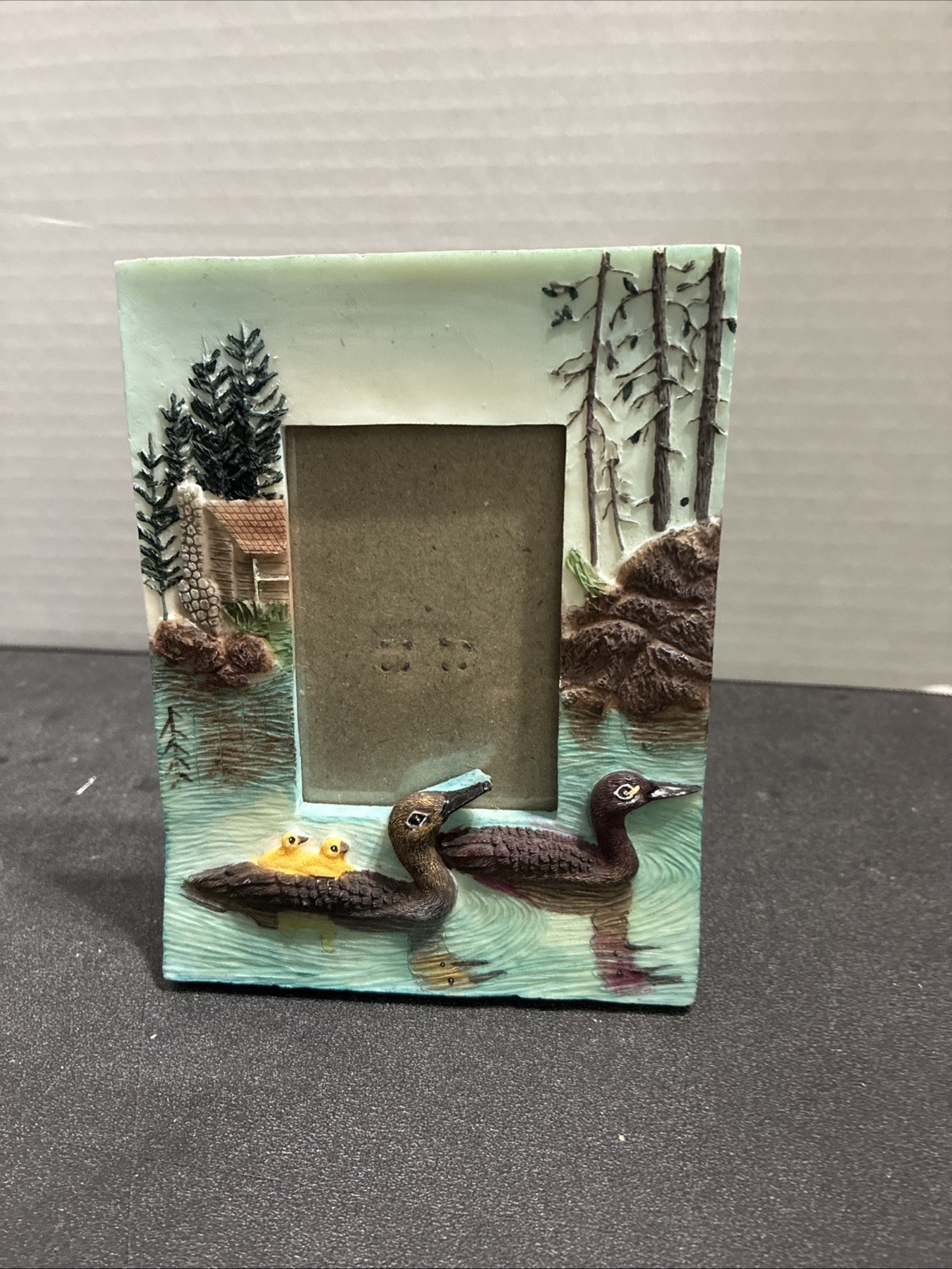 3D Resin Picture Frame with 2 Loons! Great For Duck Lovers!