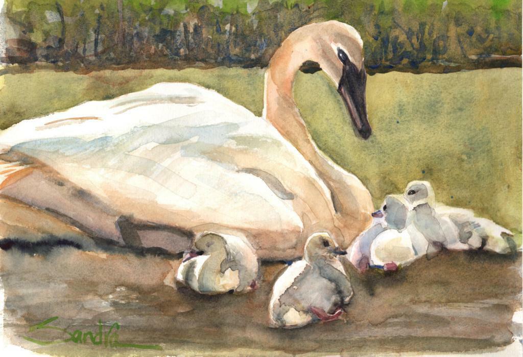 Mother Swan Watercolor Print Sandra Stone SIGNED Limited Edition California Art
