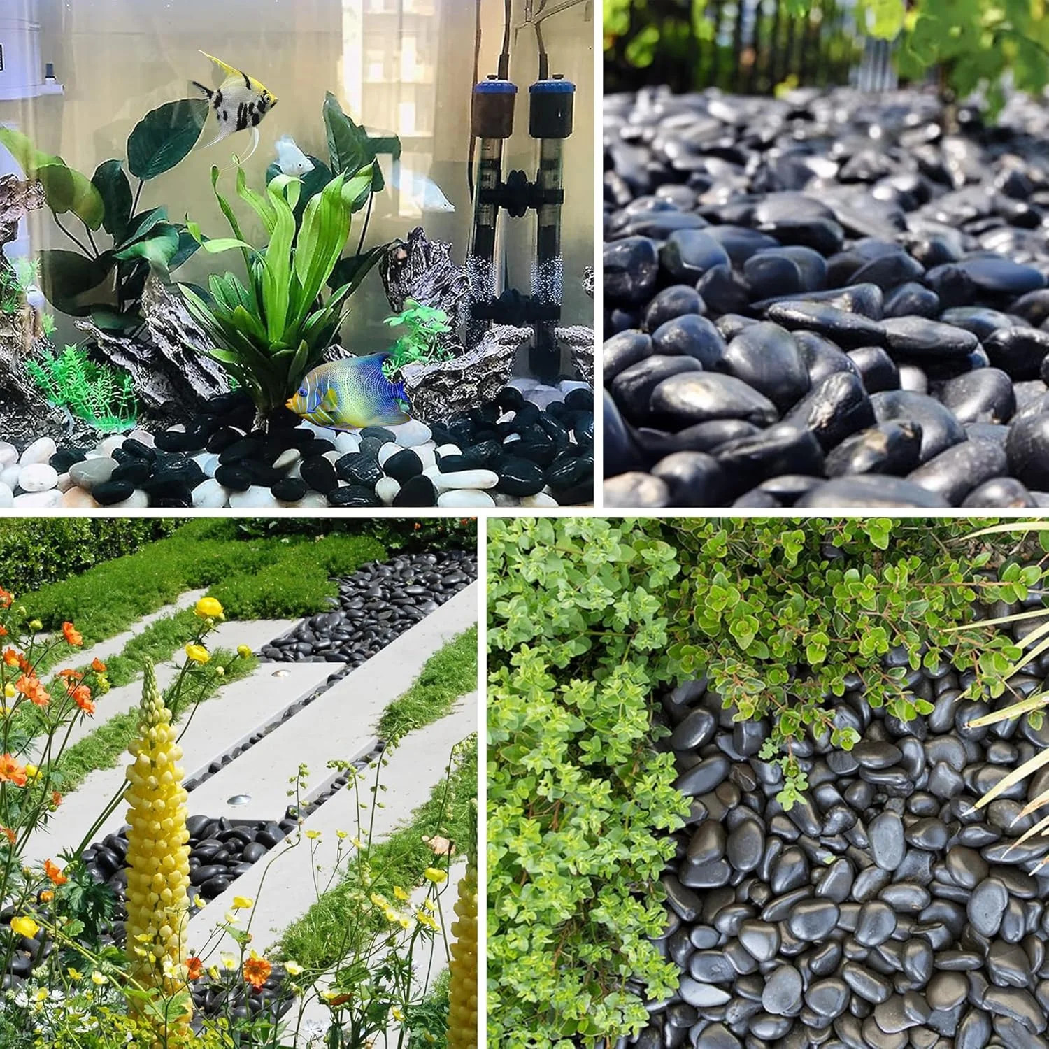 5lbs Large Pebbles for Indoor Plants, 2-3 Inch Natural Black River Rocks for Aqu