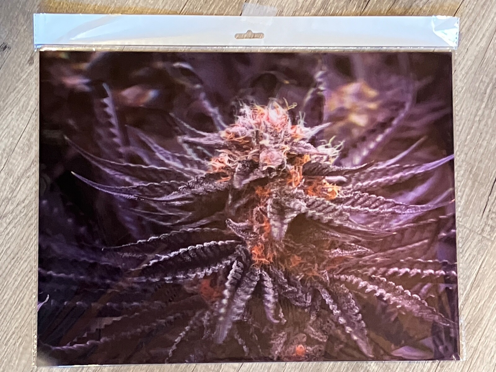 3D LENTICULAR CANNABIS POSTER / MARIJUANA /FRAMELESS WALL ART – HUCKLEBERRY KUSH