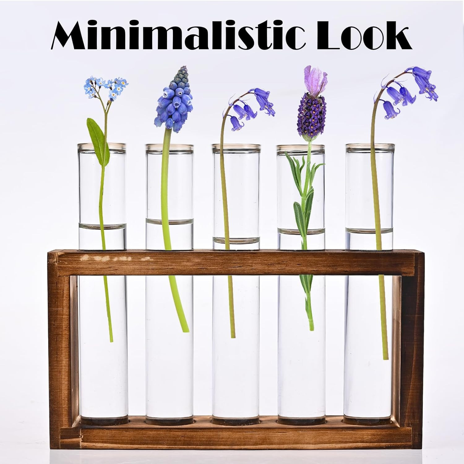 Desktop Glass Plant Propagation Station with 5 Test Tubes in Wooden Stand – H…