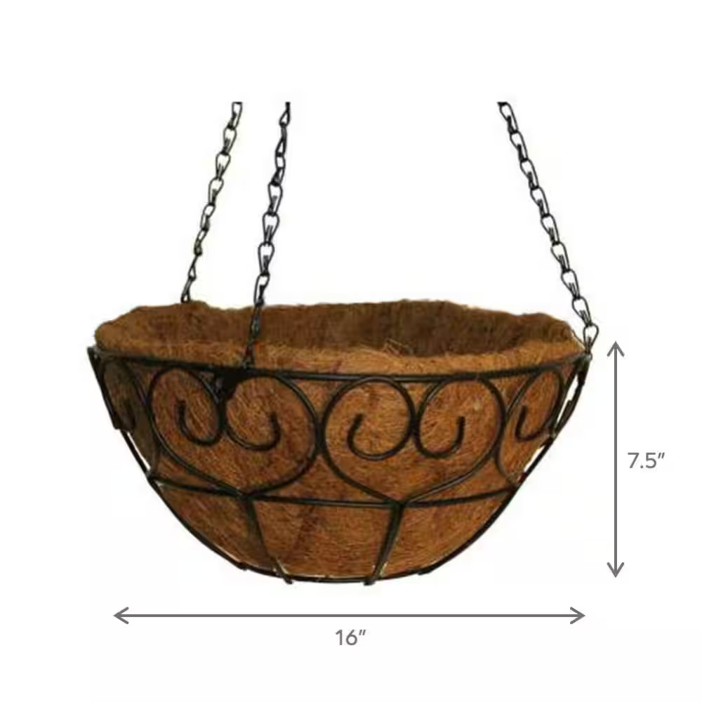 16 In. Dia Black Metal Heart Scroll Hanging Basket with Coco Liner