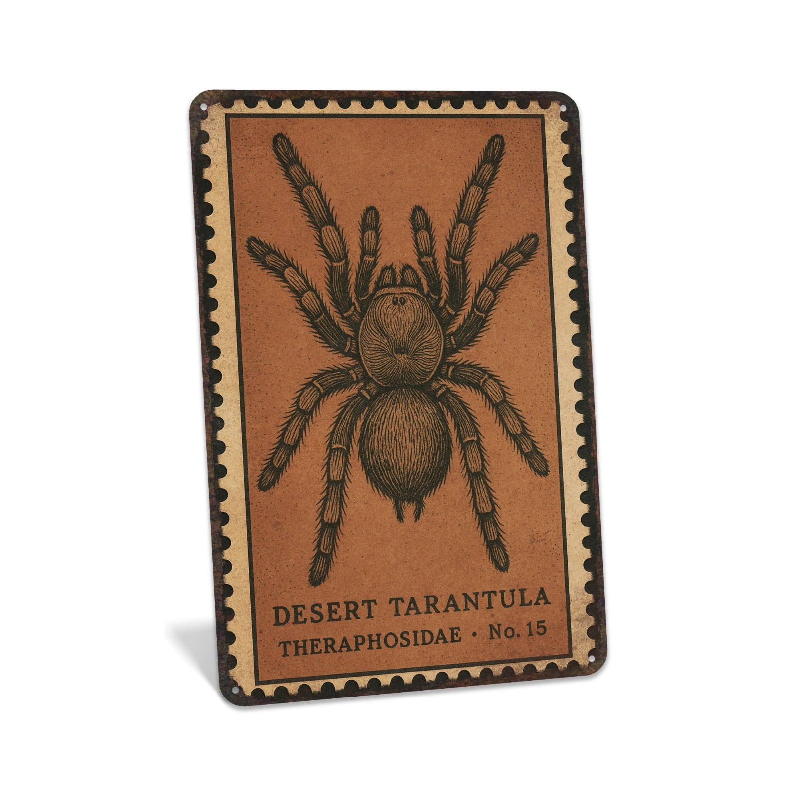 Tarantula Signs, Spider Wall Art, Spider Signs, Arachnophobia, Metal Signs