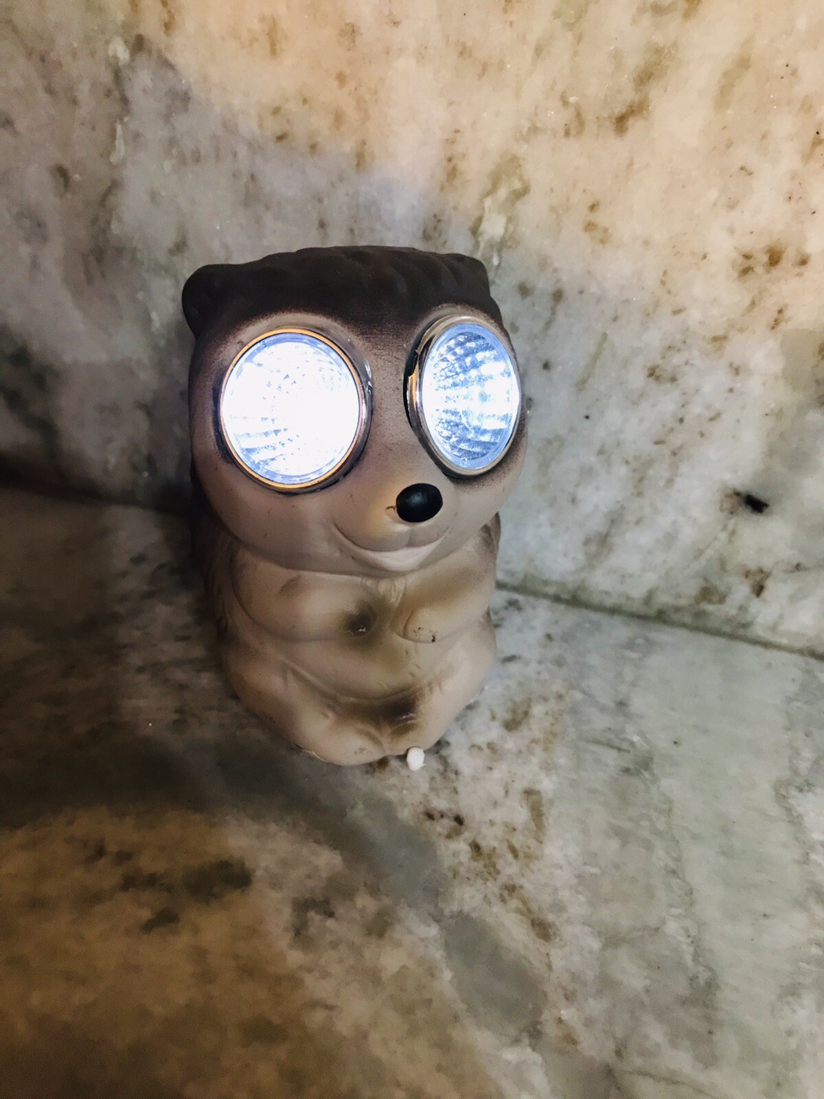 Solar Powered LED Light Up Decorative Stoneware-Racoon-ShipN24hours