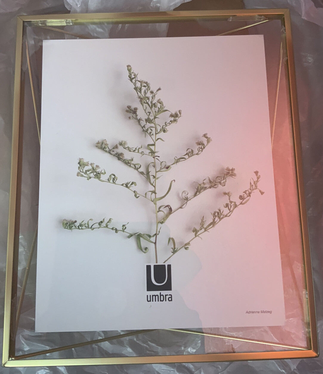 🧷 Umbra Prisma Picture Frame, 8×10 Photo Display for Desk or Wall, 🆕as Shown