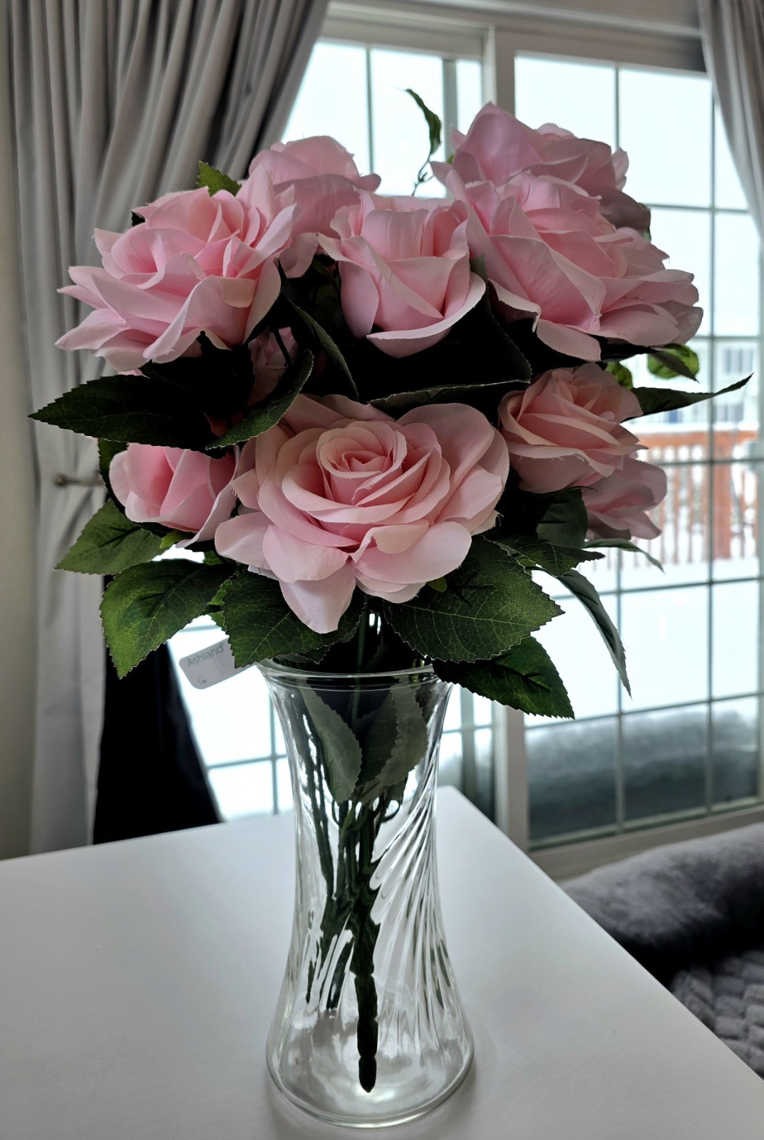 Ashland Rose Bush *Preowned, Gorgeous*