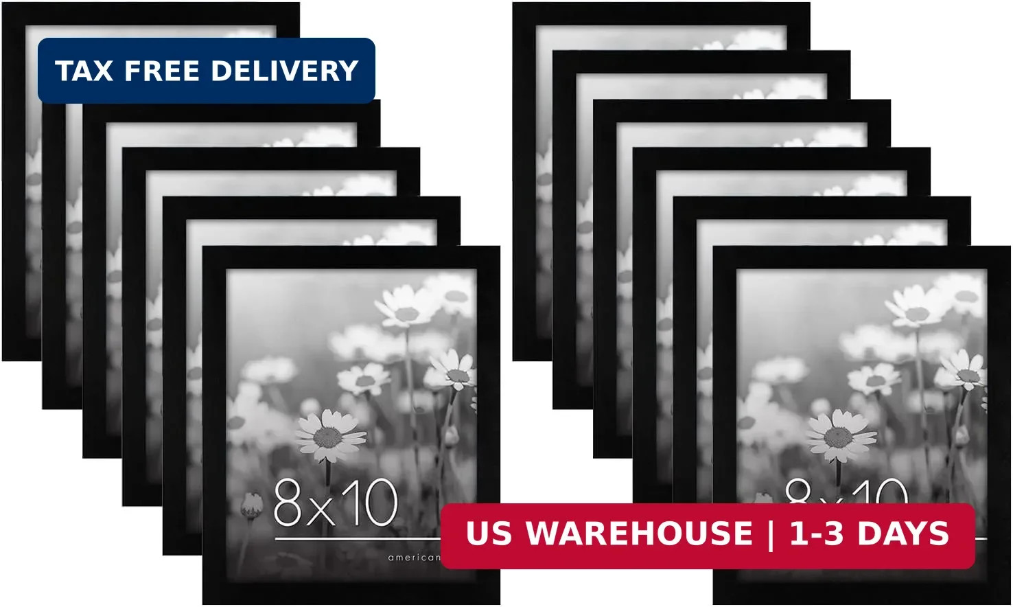 Americanflat 8×10 Picture Frame with Polished Plexiglass – Set of 12 – Signature