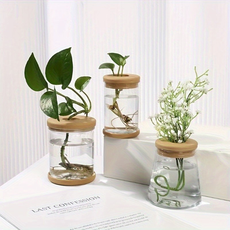 3 Pcs Transparent Hydroponic Plant Pot Home Vase Decor Flower Planter Terrarium