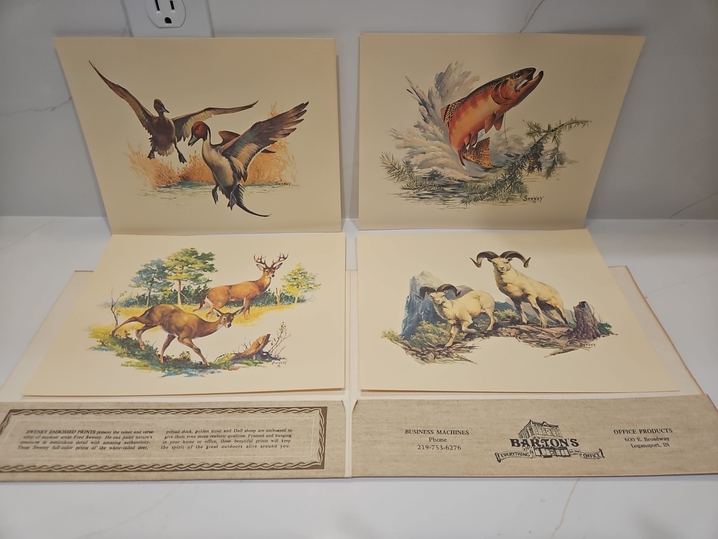 Vtg 1970&rsquo;s FREDERICK SWENEY Wildlife 3-D EMBOSSED Prints-Wildlife Set of 4-8×10