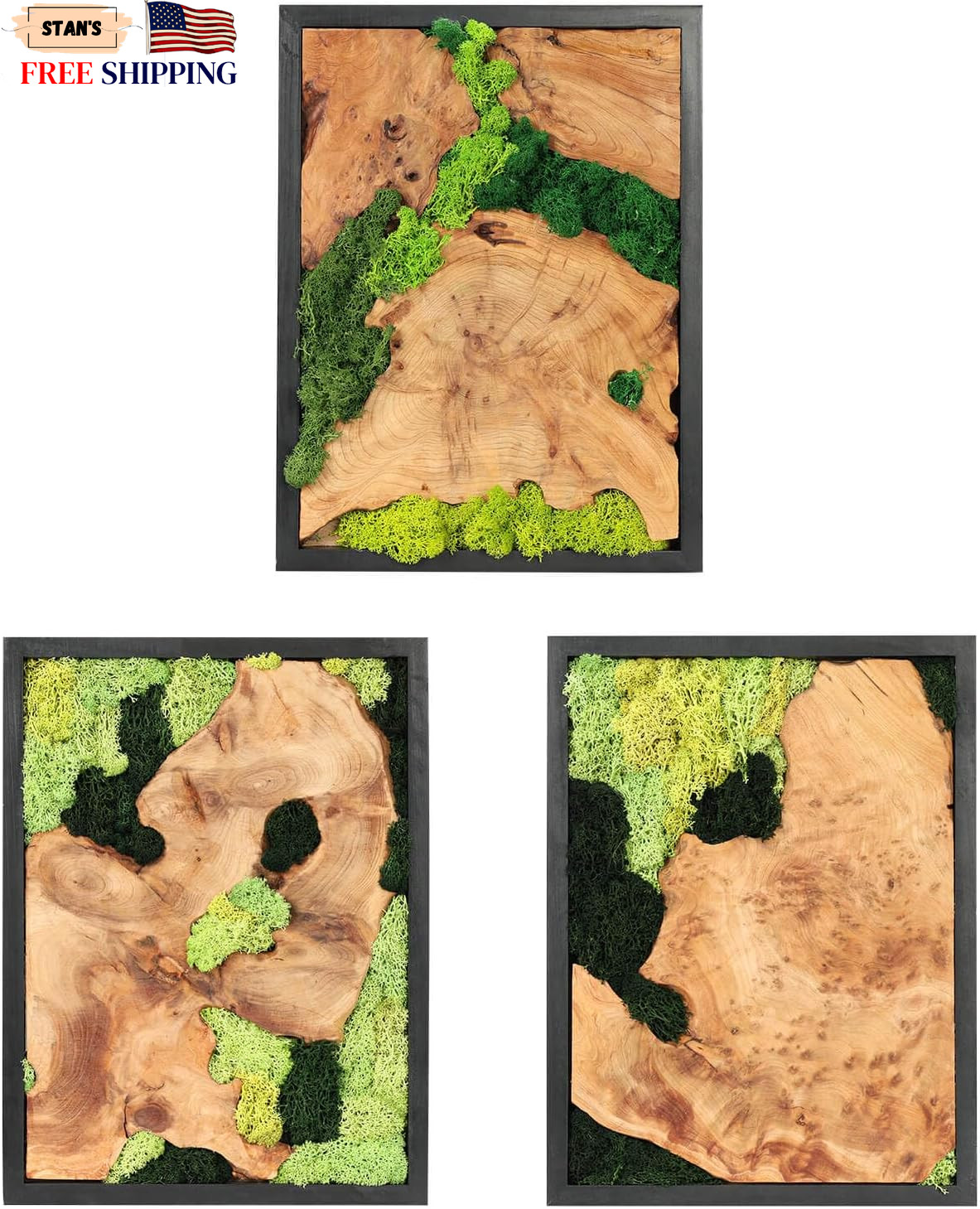 Rustic Natural Moss Wall Art Handcrafted Decor for Any Room No Maintenance NEW