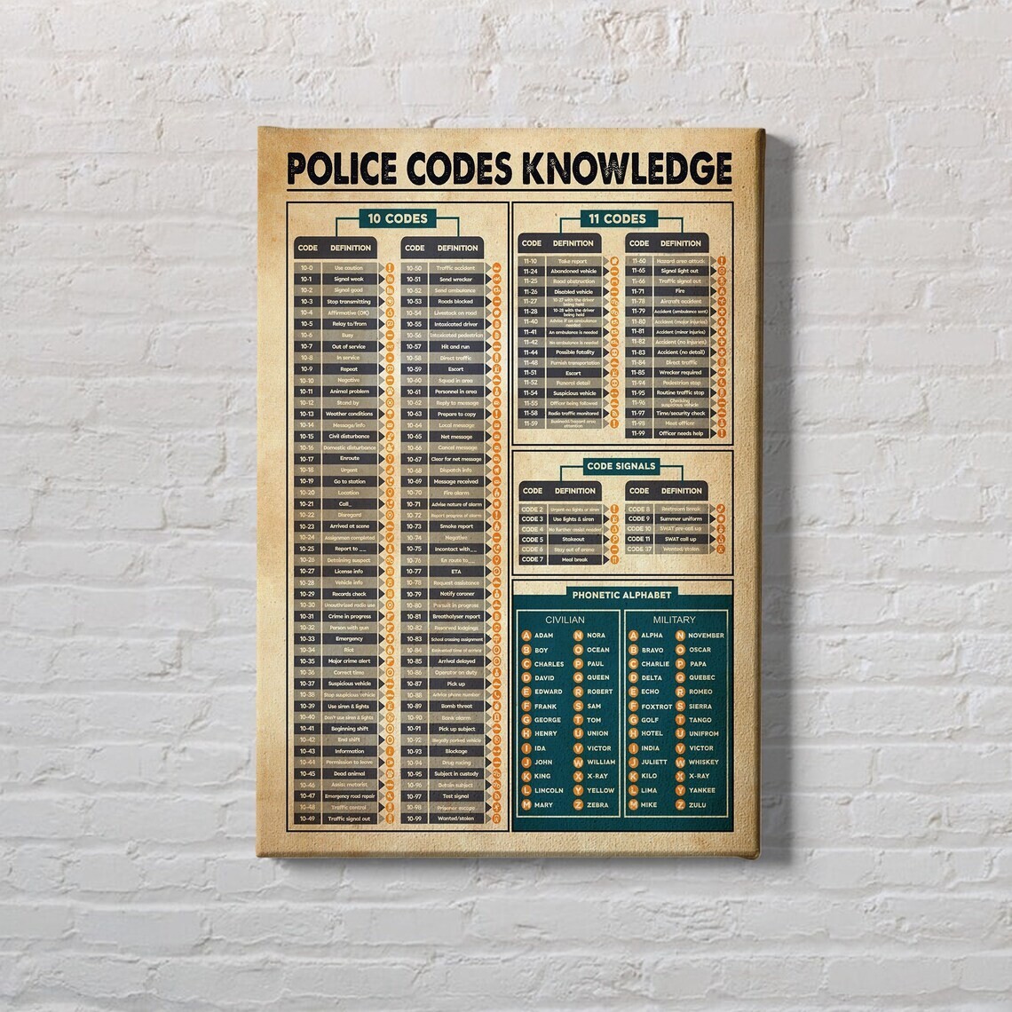 Police Codes Knowledge Poster, Law Officer Education Poster Print Wall Decor