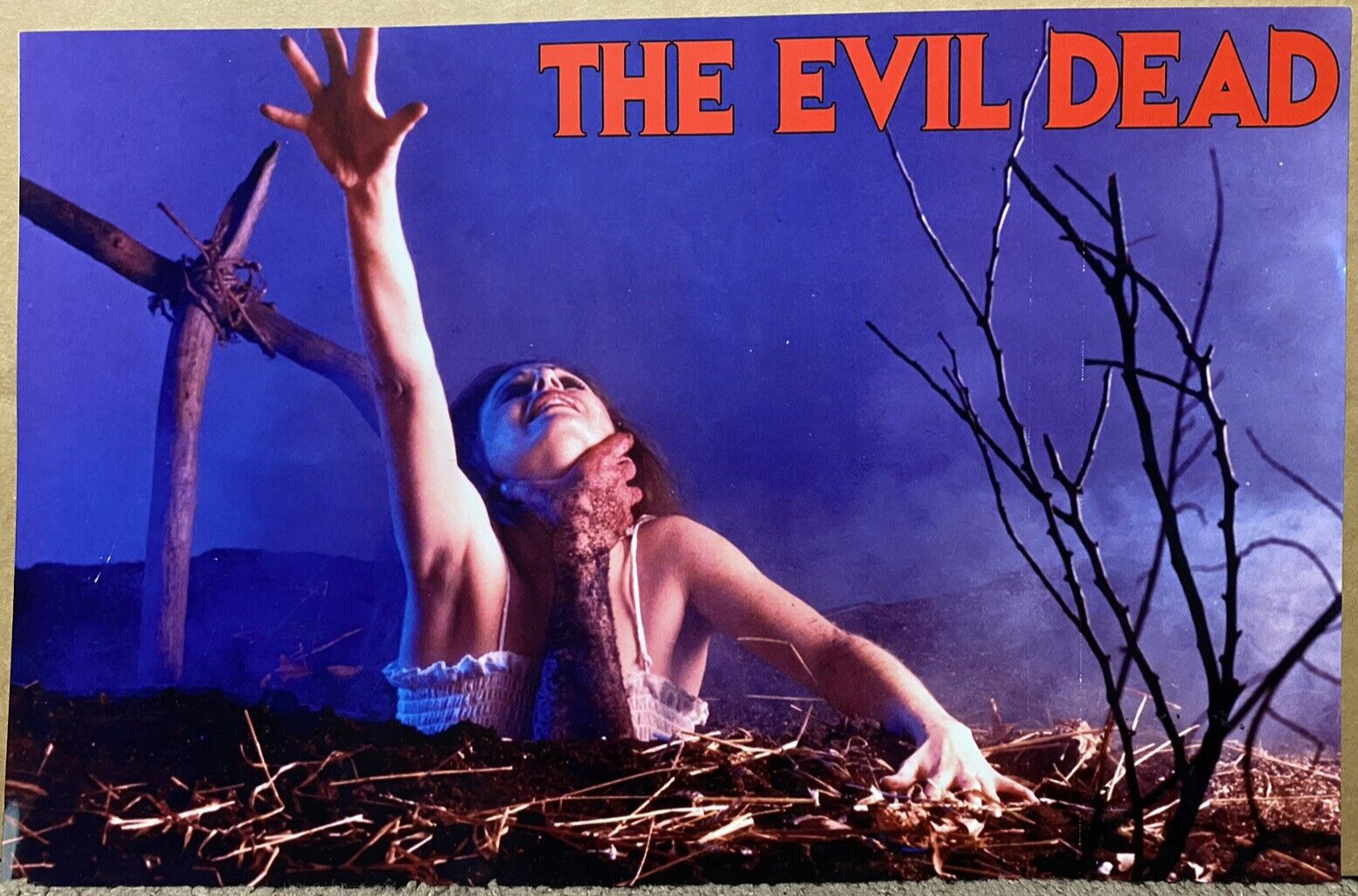 The Evil Dead 17 x 11 Horror Reproduction Poster Ash Bruce Campbell