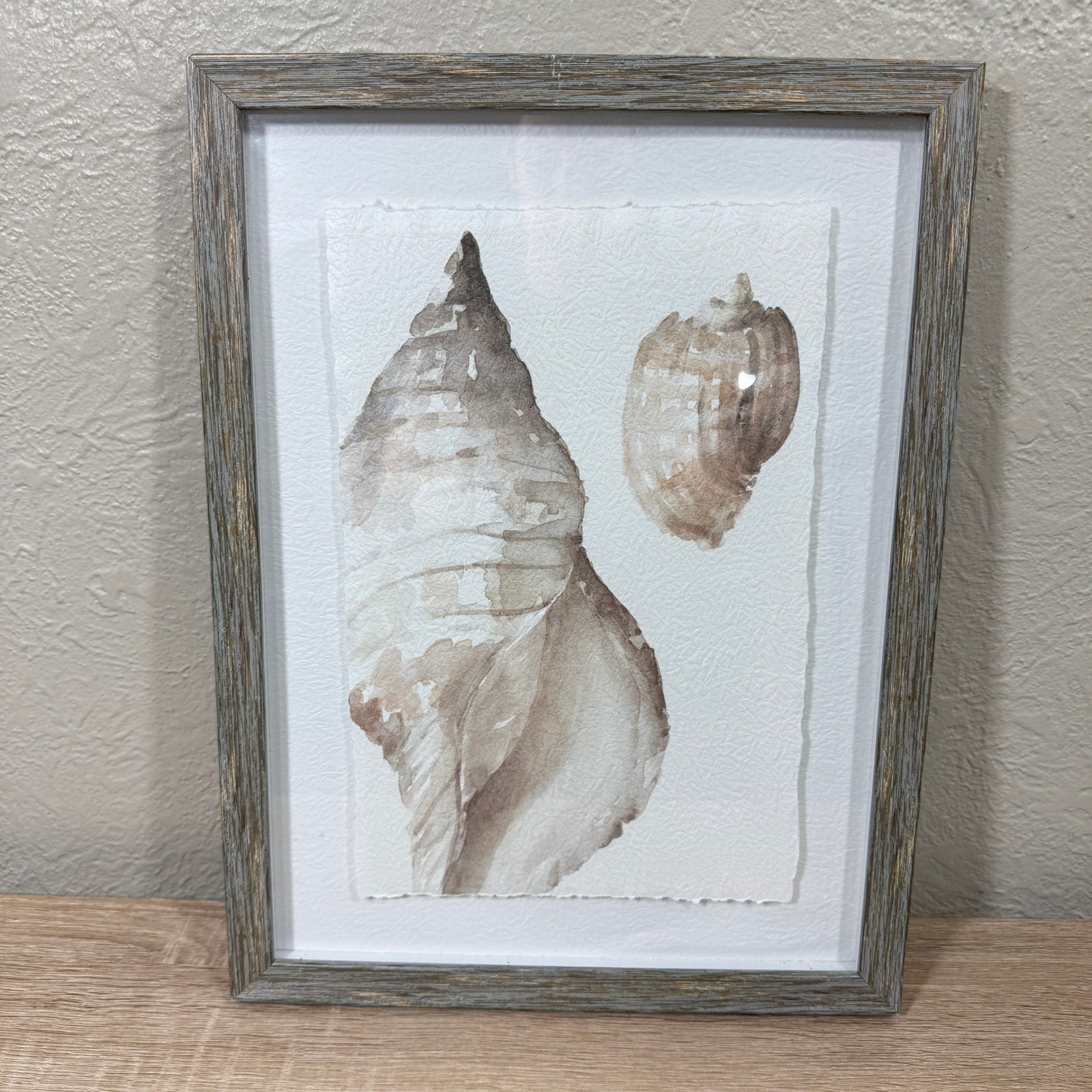 12&Prime;x16&Prime; Coastal Beach Themed Sea Shell Floating Parchment Framed Wall Decor