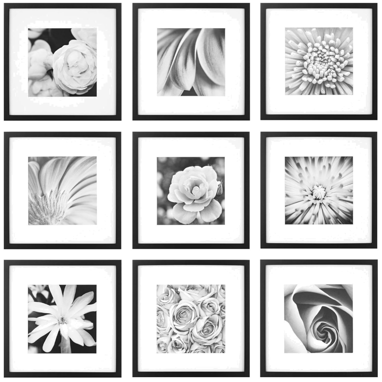 Sophisticated 9-Piece Greywood Frame Collection