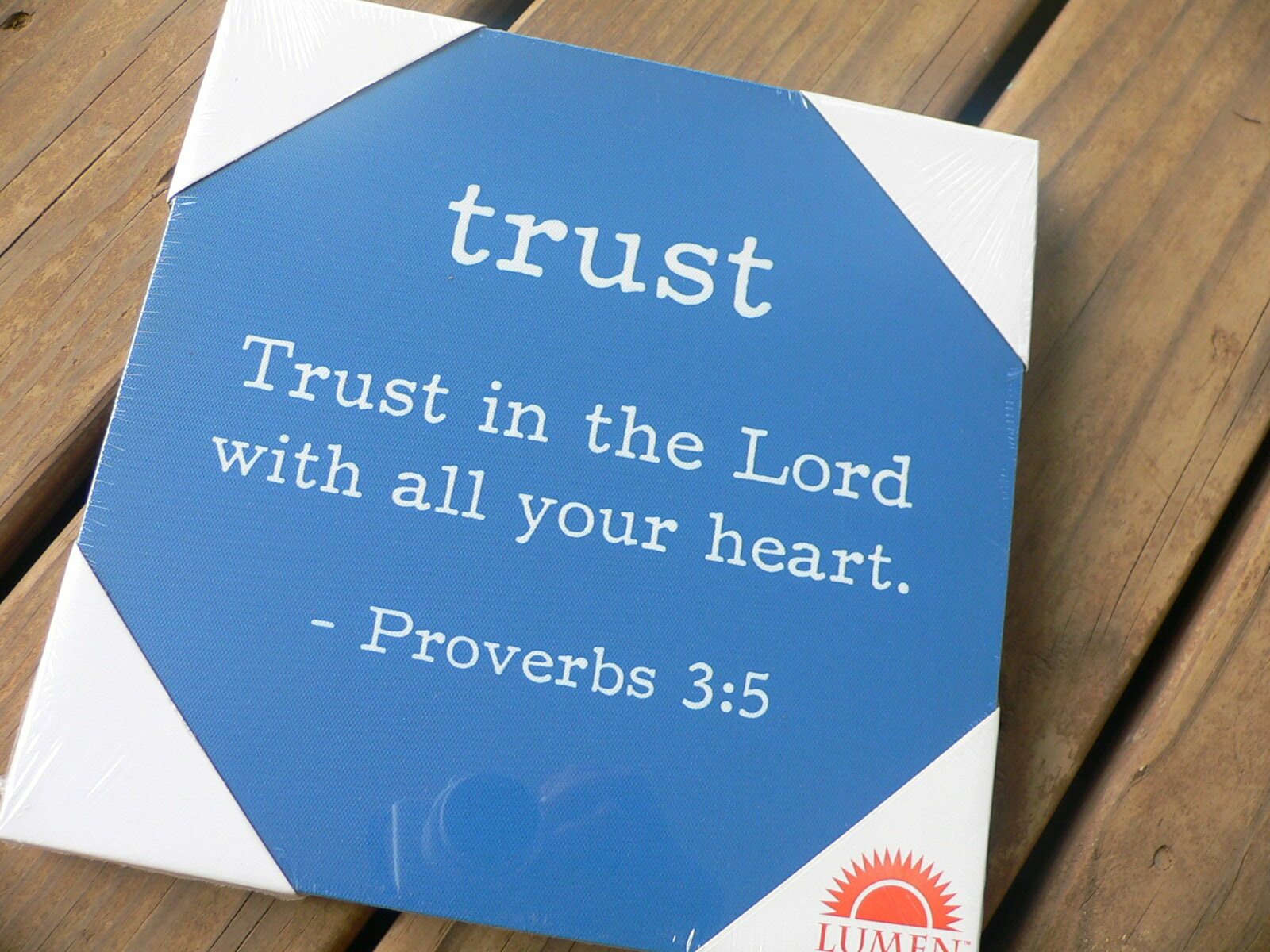 Bible Verse Wall Plaque – TRUST