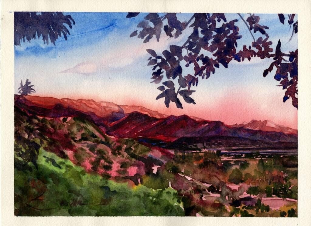 Pink Topa Topas : Sandra Watercolors™ California : SIGNED Art Print