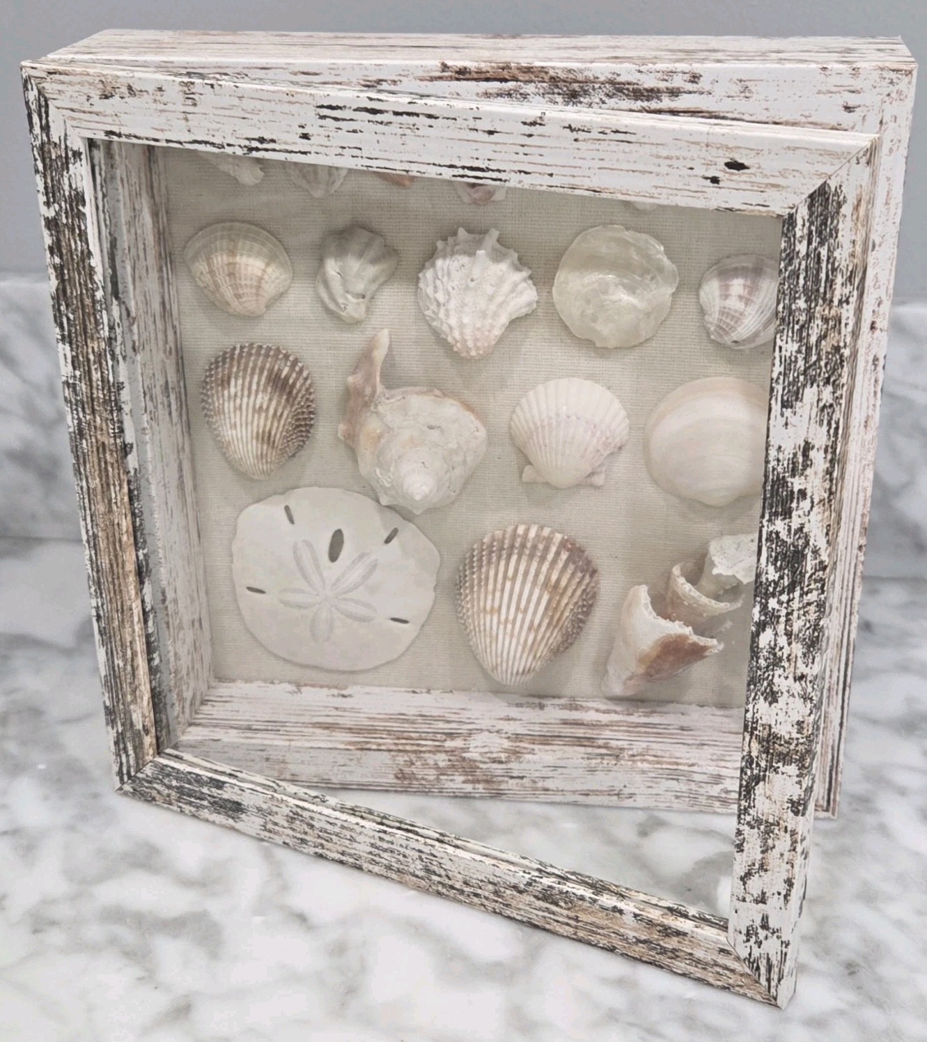 Handmade Florida Gulf Coast Seashell Shadow Box 8×8 Beach Coastal Decor Wall Art