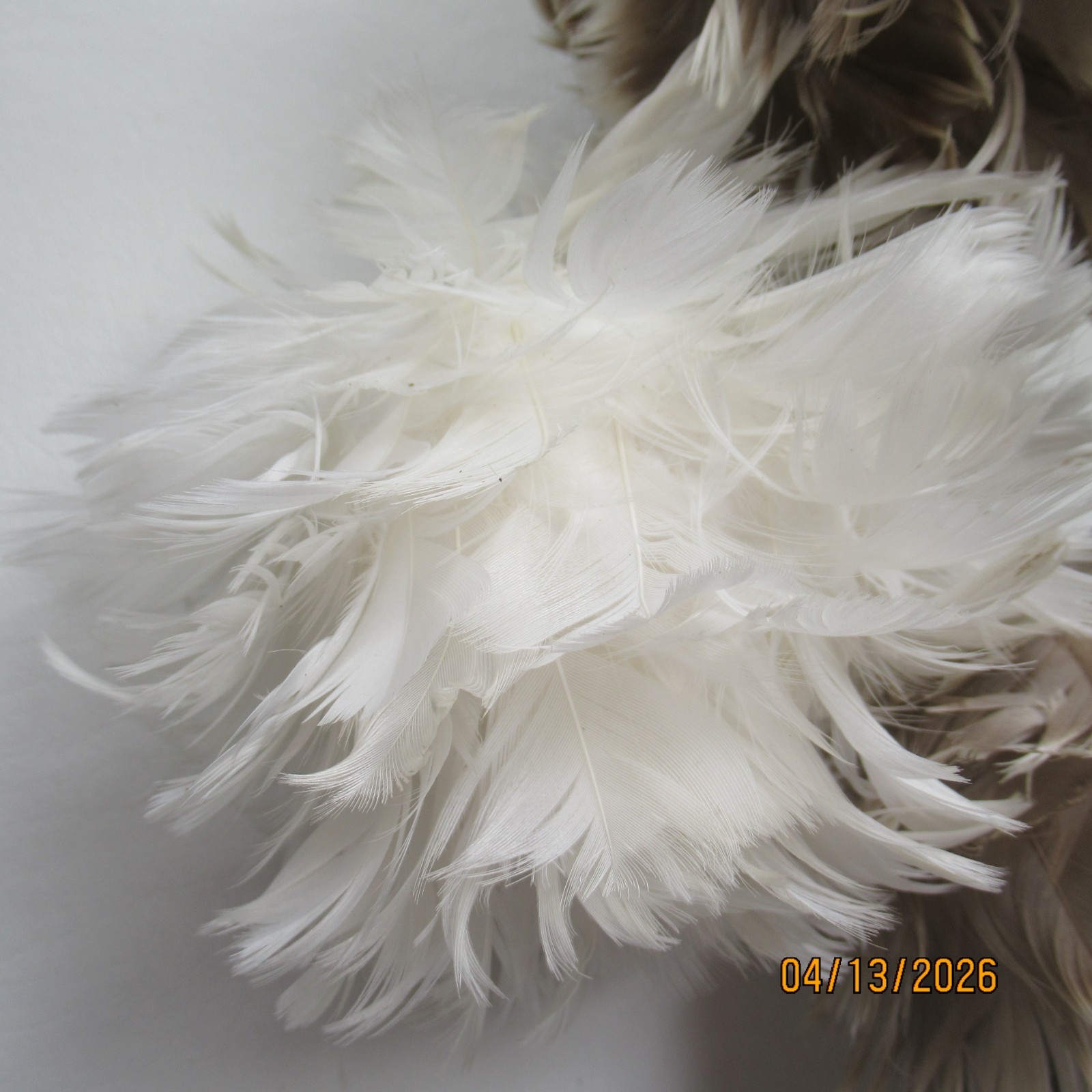 Decorative Hanging Feather Balls Bulbs Orbs Lot of 7 Muted Cocoa Ivory Fluffy 3&Prime;