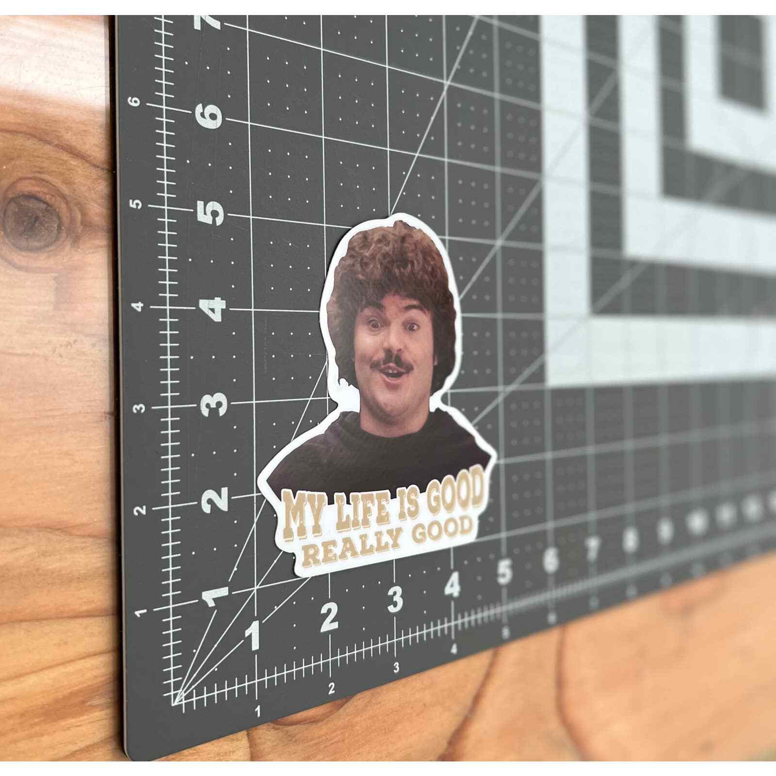 Nacho Libre Sticker | Jack Black | Life is Good | Orphans | Vinyl Sticker |