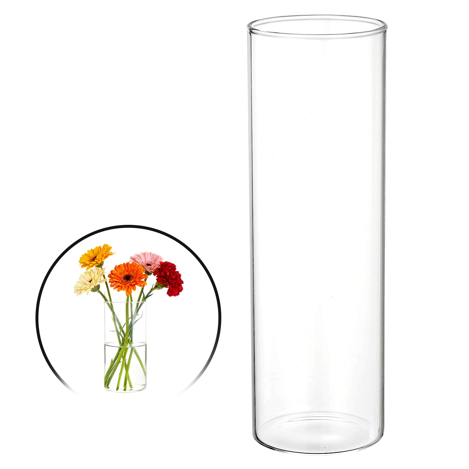 Clear Cylinder Vases 8 Inch Tall Glass Flower Vase for Table Decor 19oz