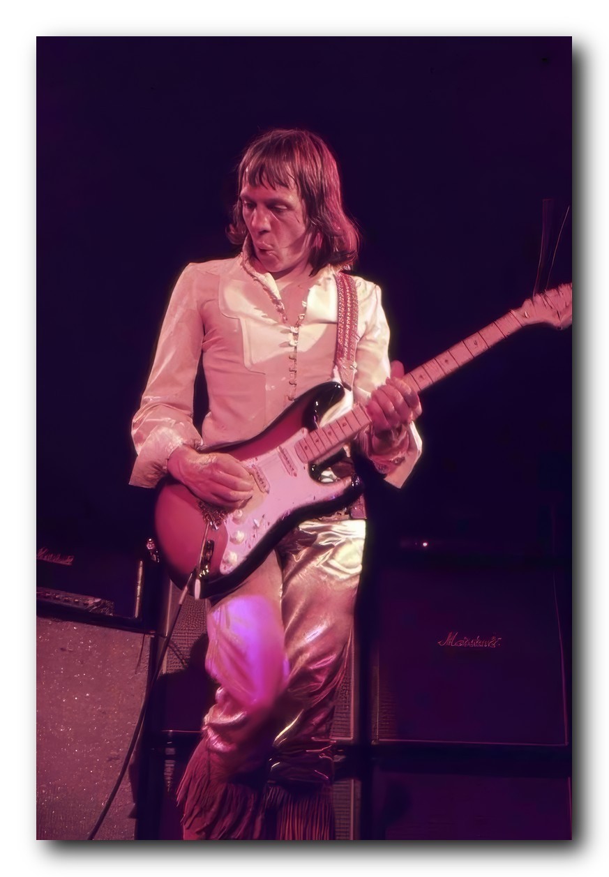 Robin Trower Poster 24×36 Inch Photo Rare Print Wall Art Print – RT01