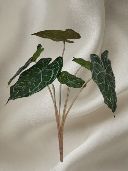 12&Prime; Anthurium leaf bush