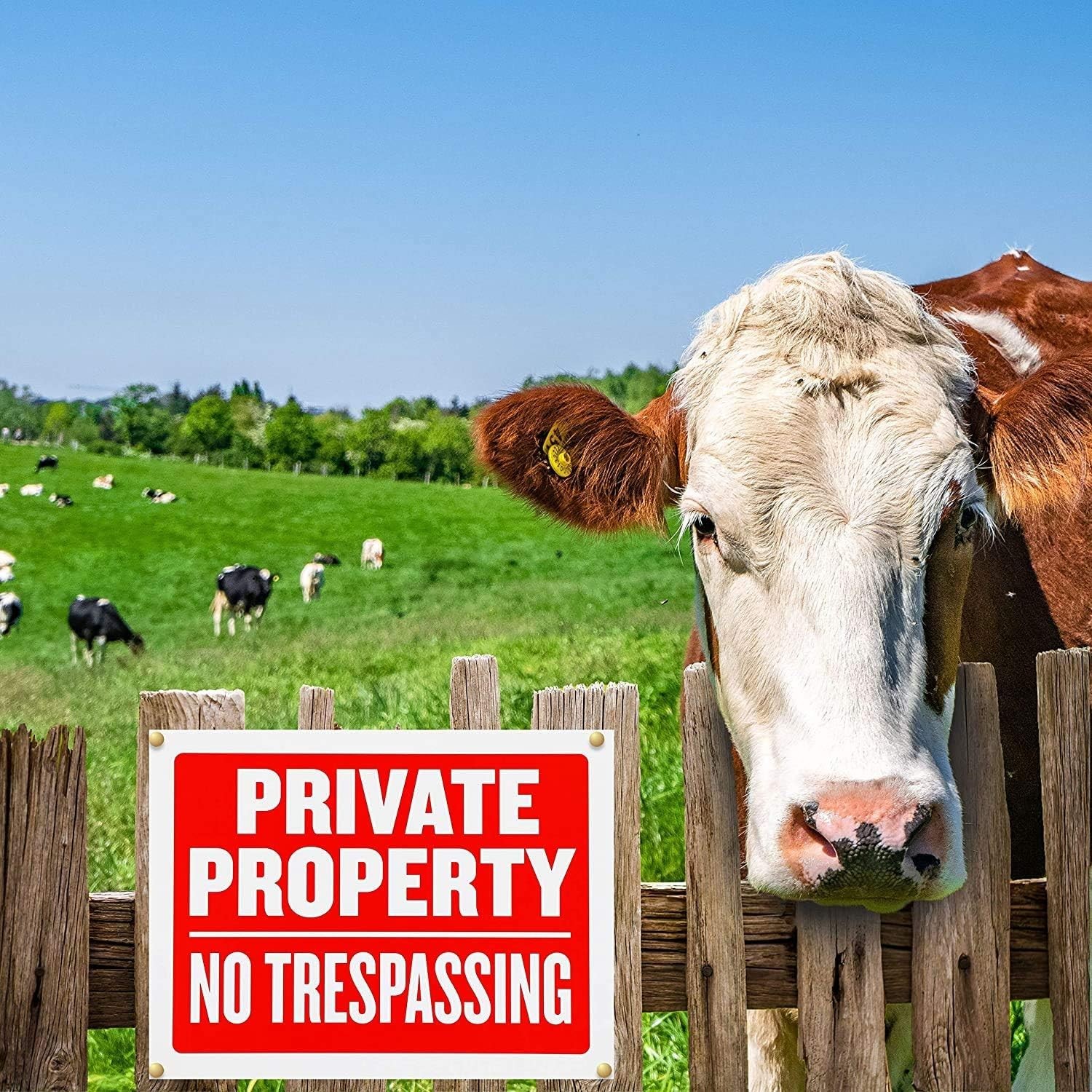 Durable 9×12 Inch No Trespassing Signs in Pack of 4 for Total Privacy Protection