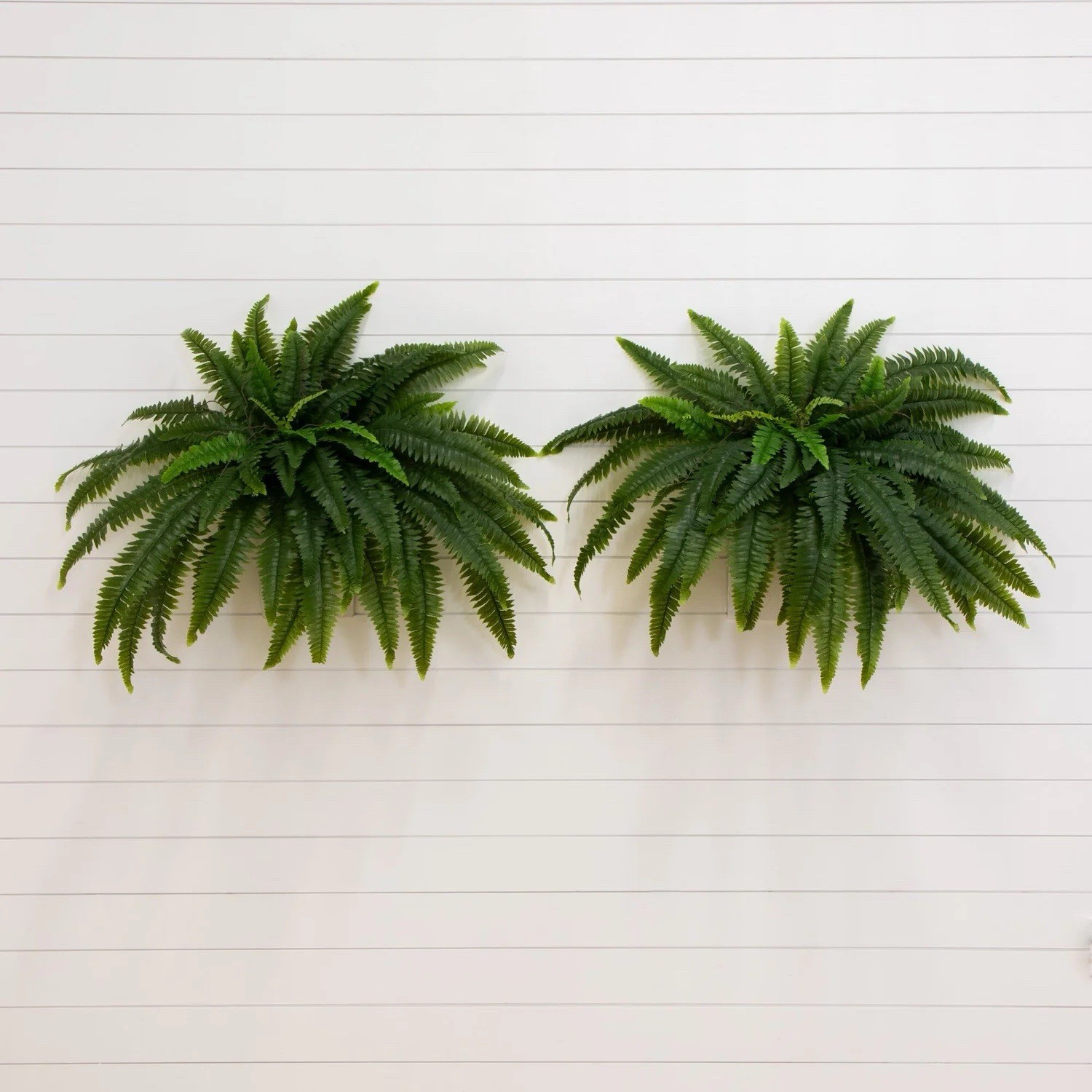 48&Prime; UV Resistant Artificial Boston Fern (Indoor/Outdoor) – Set of 2