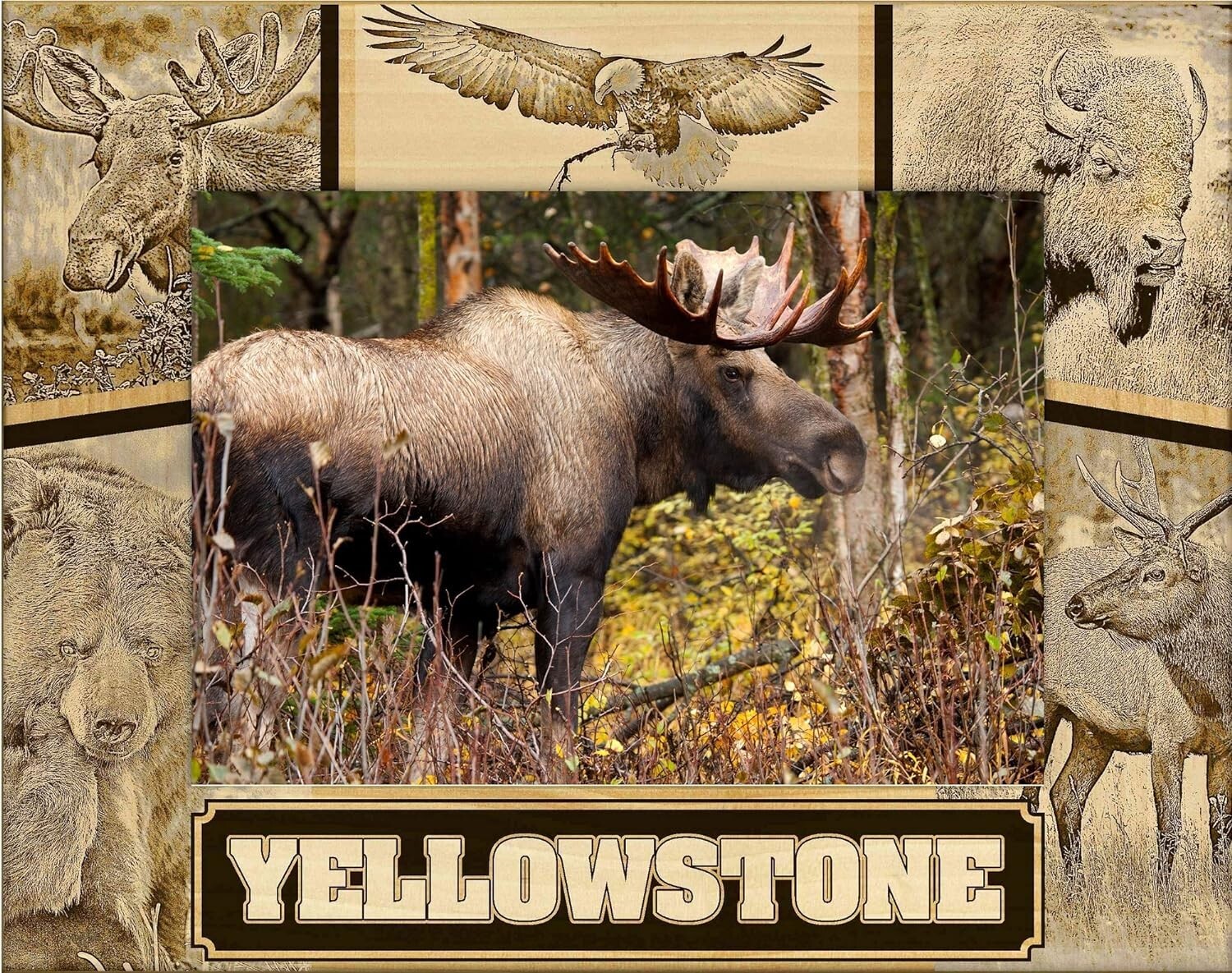 Yellowstone National Park Wildlife Collage Engraved Picture Frame Landscape 3×5