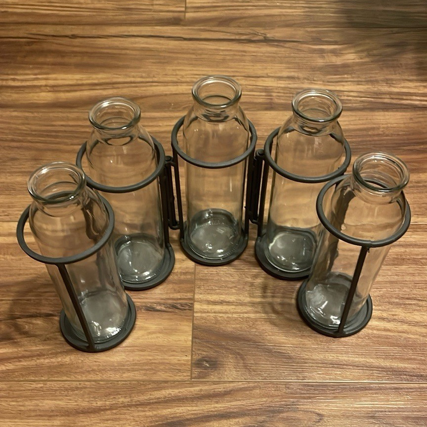 Set of 5 Clear Glass Bottle Bud Vases in Black Metal Holders, Freestanding