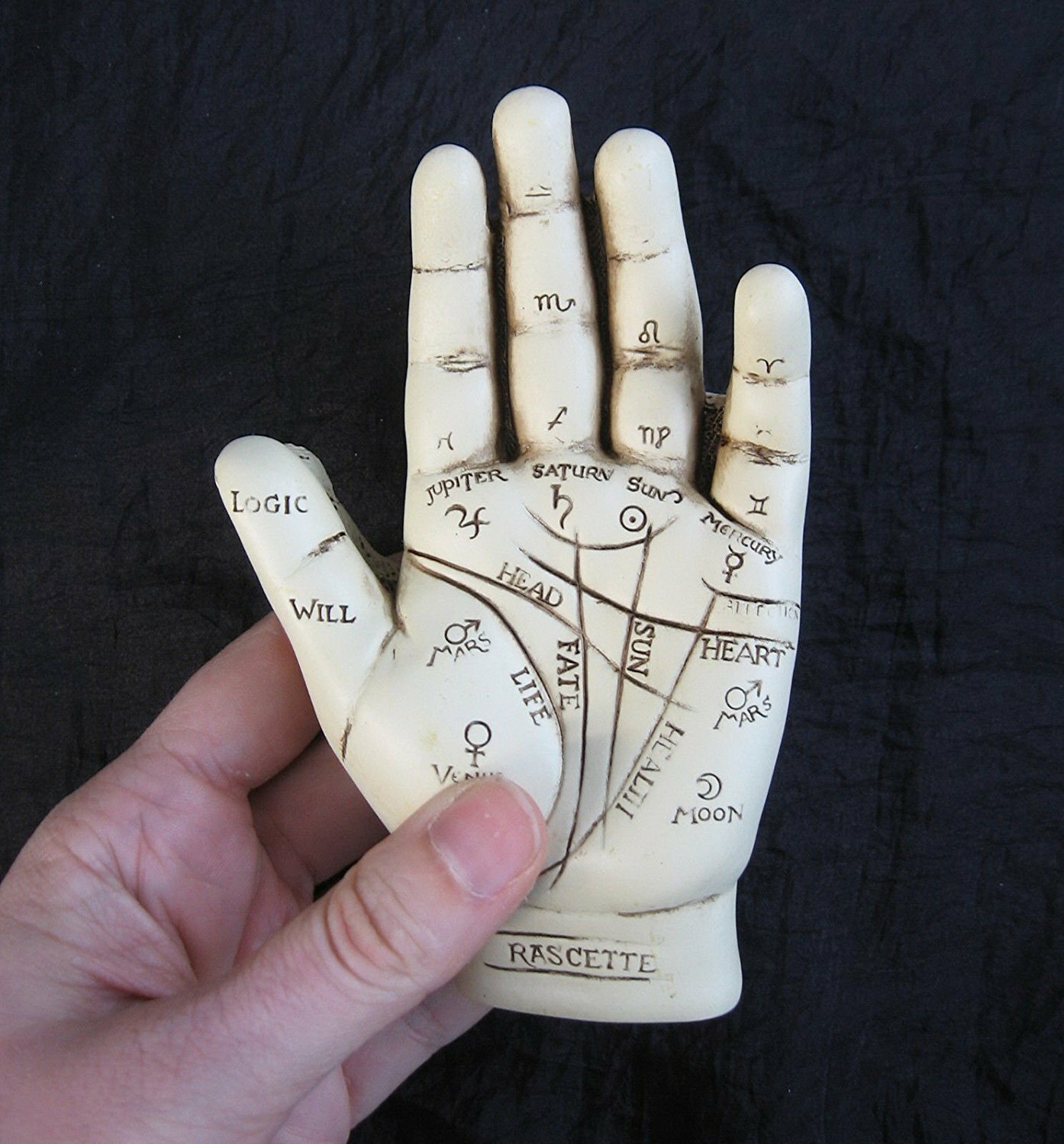 PALMISTRY HAND KIT Includes Cold-Cast Resin Hand & Guide Booklet Palm Reading