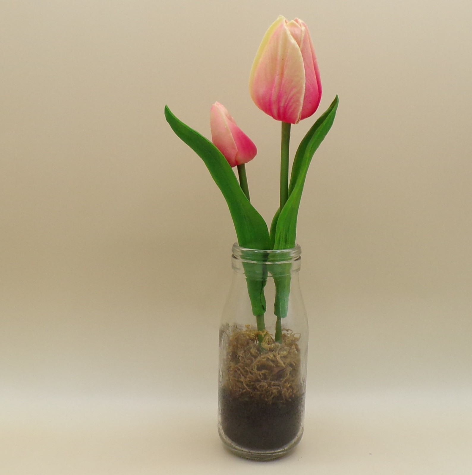 Tulips In Milk Bottle 10.75&Prime; x 2&Prime; New Ganz