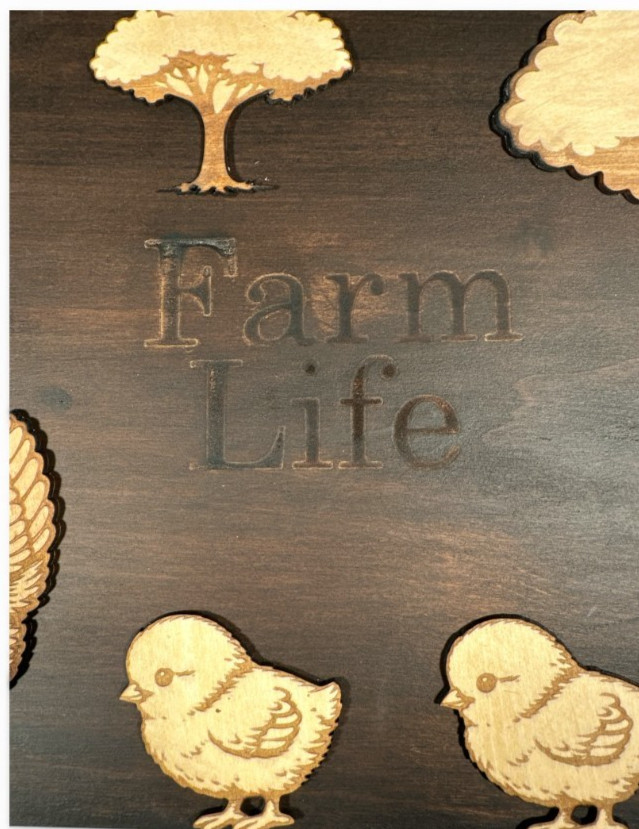 Farm Life Wall Art Wood Farmhouse Chicken Decor Rustic Large 24×11