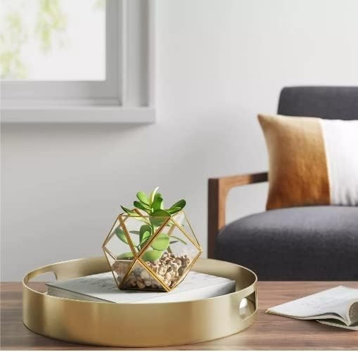 (2 PACK) 5&Prime; x 4&Prime; Artificial Succulent Plant with Brass Terrarium – Opalhouse