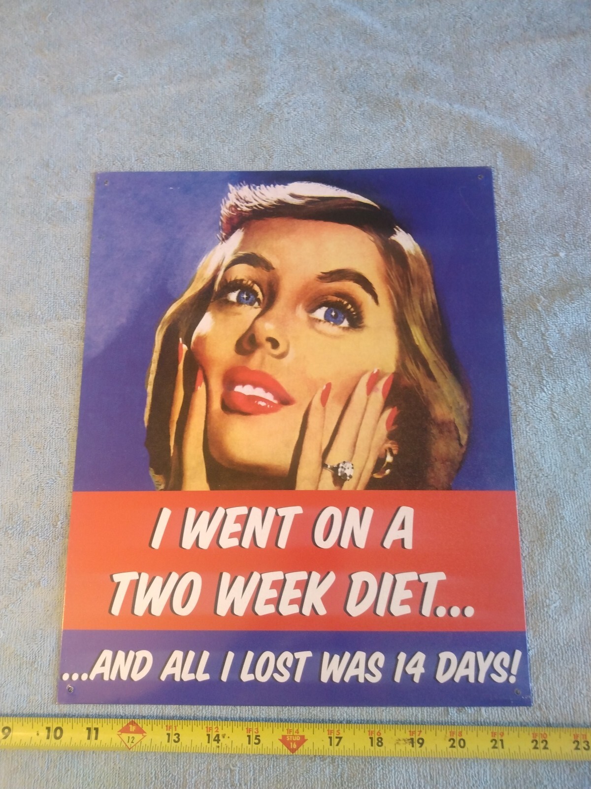 Nobleworks Metal Sign – I Went On A Two Week Diet… And All I Lost Was 14 Days!