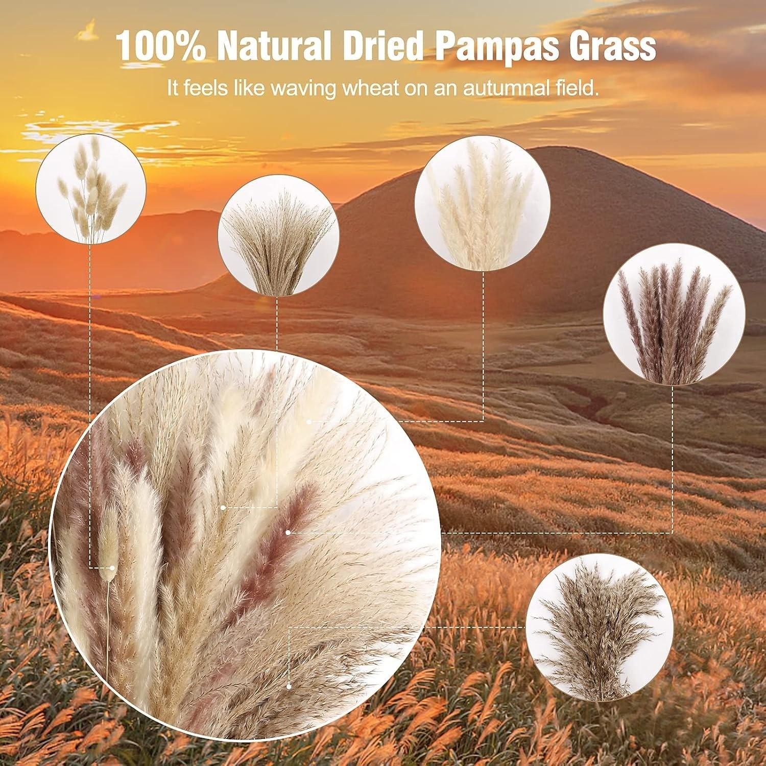 75pc Dried Pampas Grass Decor White Brown Fluffy Bouquet Boho Wedding Table Vase