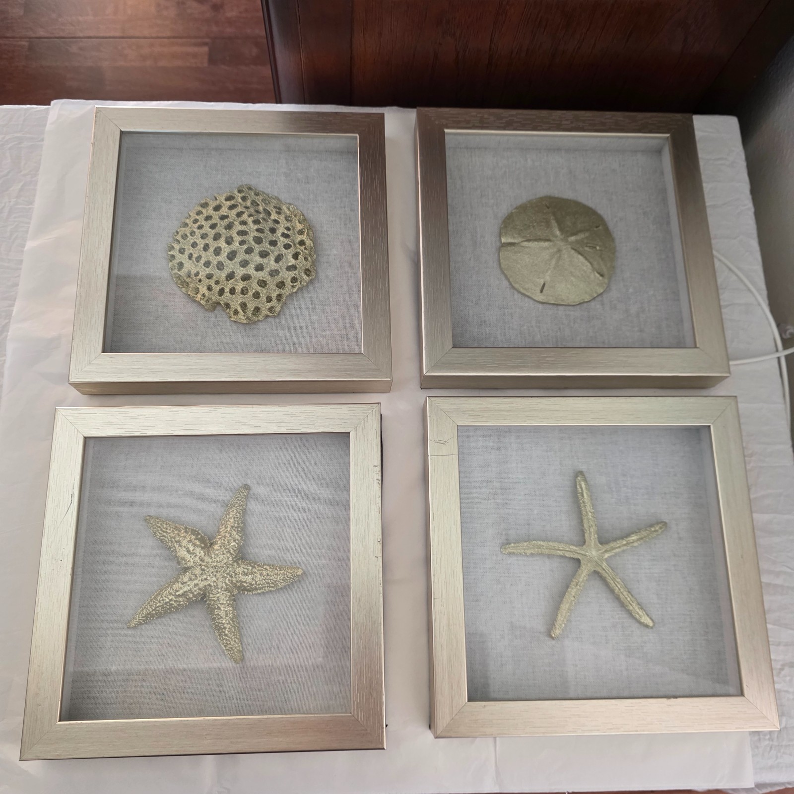 Starfish & Sand Dollar 3D Shadow Box Front Glass Cover Linen Interior Background