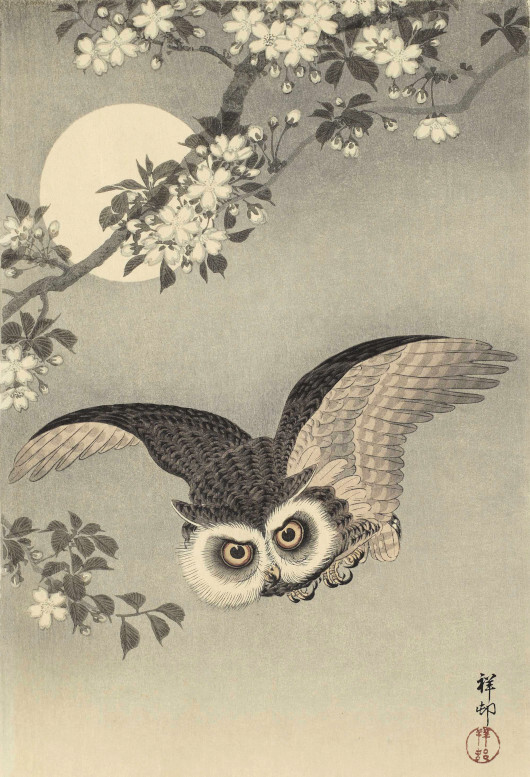 Japanese Art Repro Print Full Moon « Cherry Blossoms and Owl » OHARA KOSON