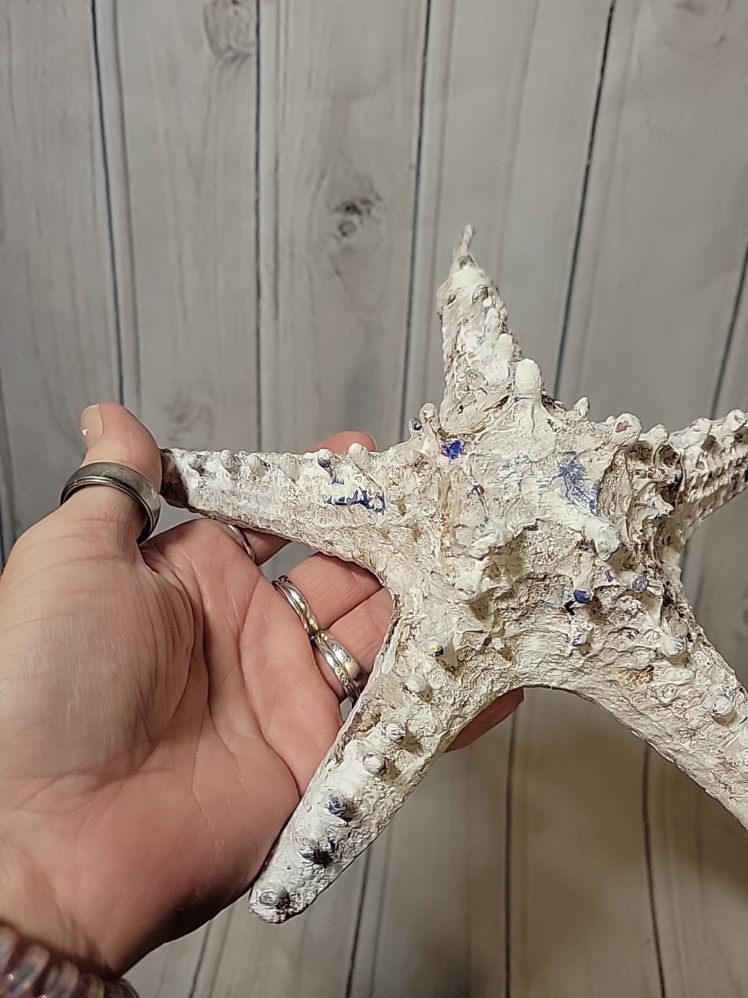 Starfish 8&Prime; Wall Hanging Ocean Sea Decor Bathroom Any Room