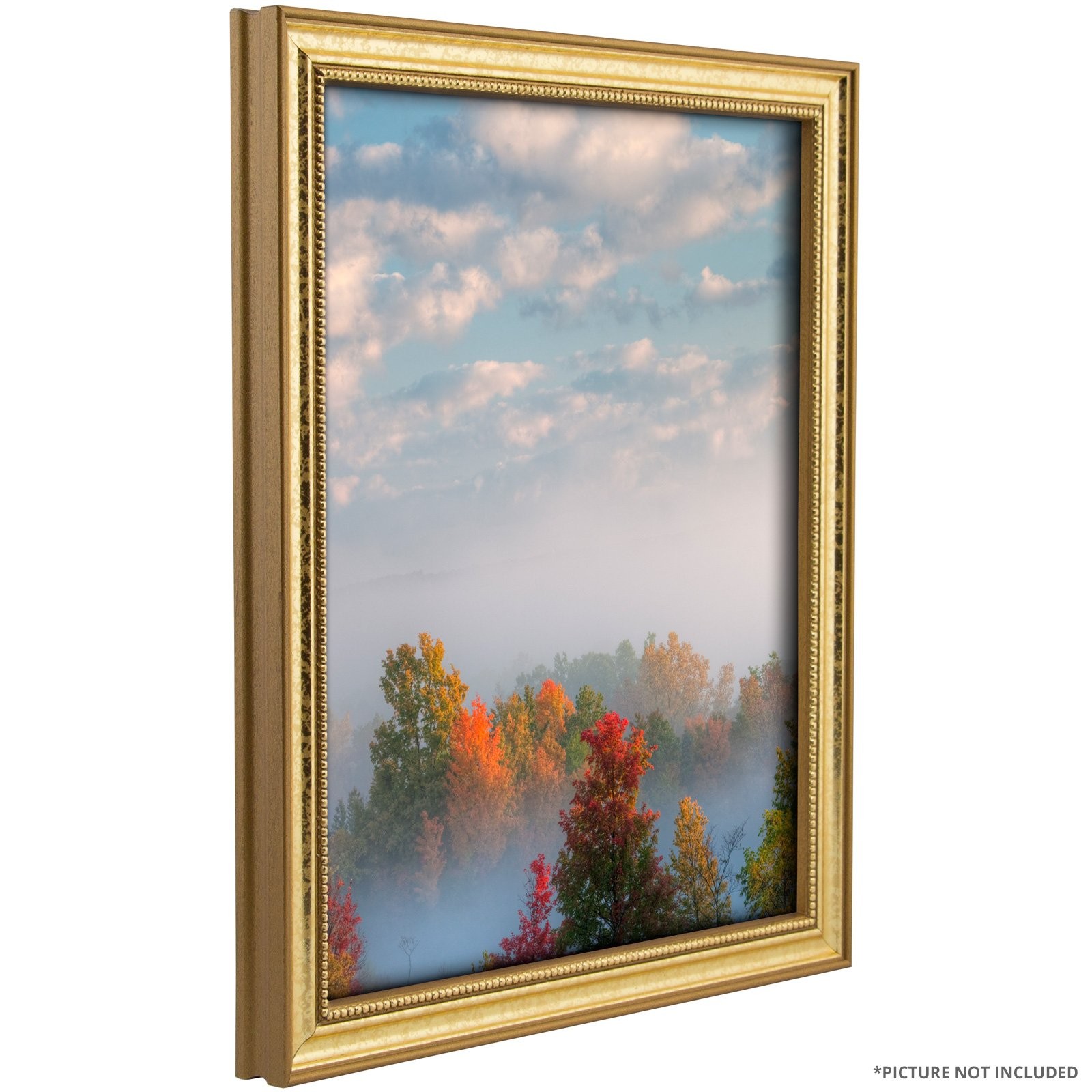 Craig Frames 314GD1218DAC 0.75-Inch Wide Picture/Poster Frame in Ornate Finish,