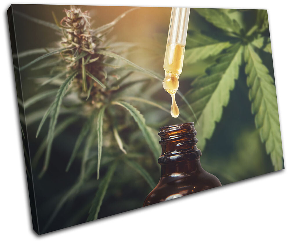 Marijuana Cannabis Dope Green Hobbies SINGLE CANVAS WALL ART Picture Print
