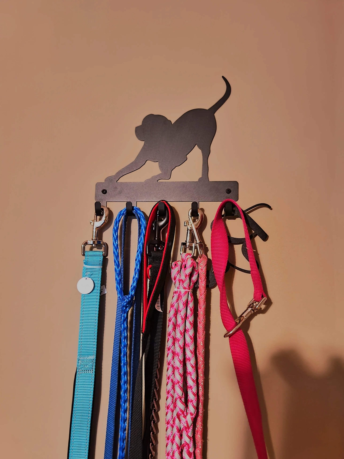 Playful Dog Key Holder & Leash Holder with 5 Hooks