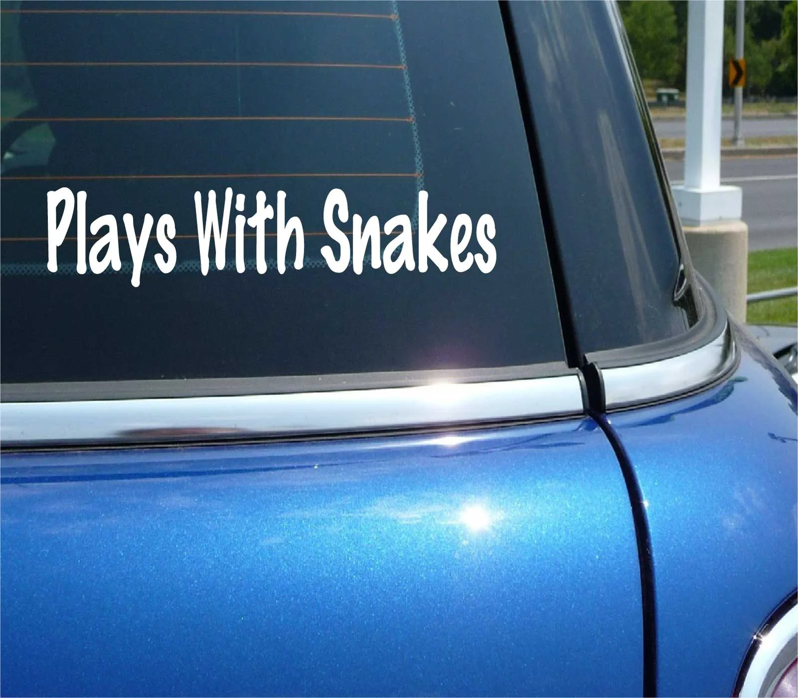 PLAYS WITH SNAKES DECAL STICKER PET FAN REPTILE INDIA CHARMER PET SLITHER