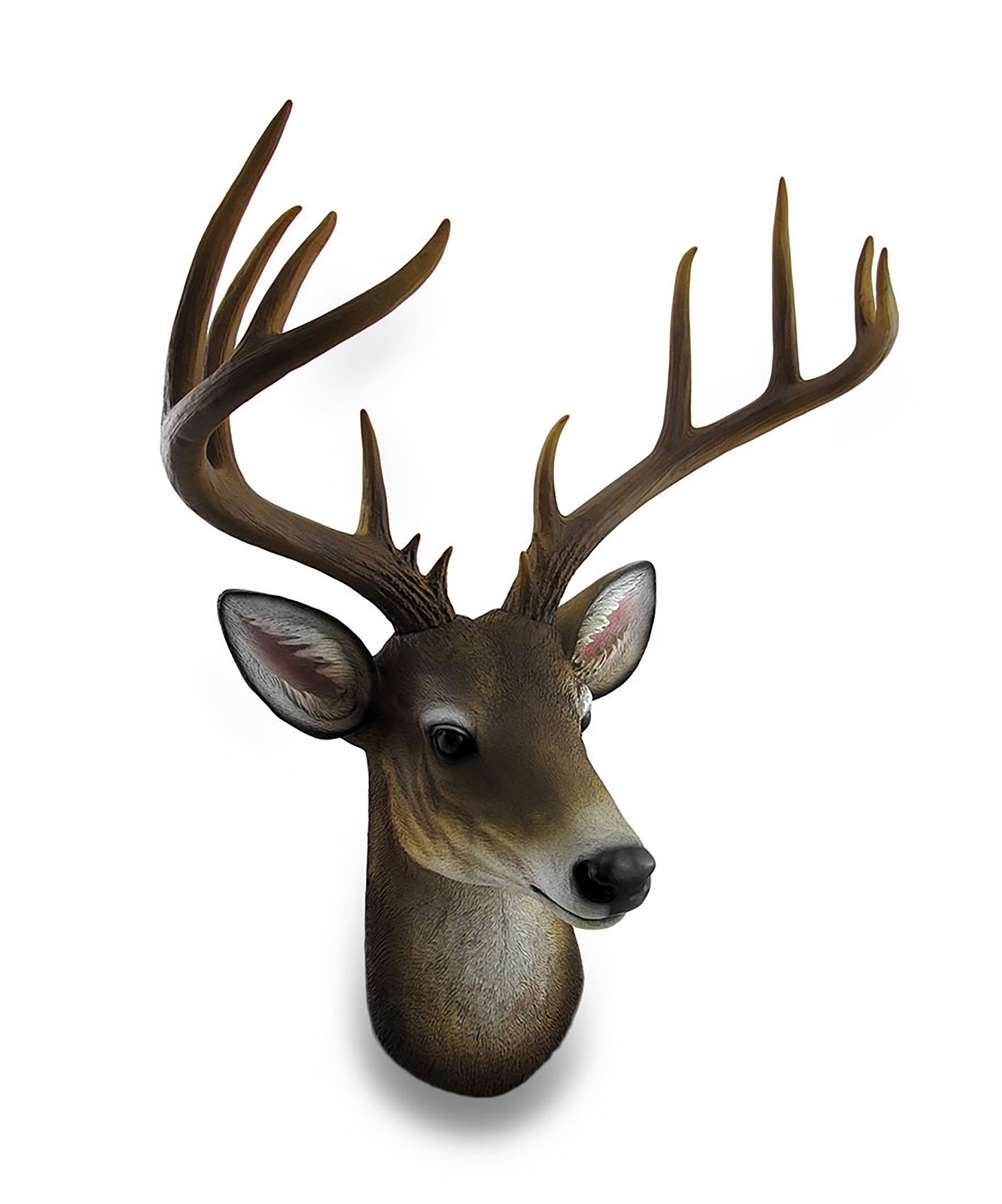 12 Point Buck Deer Head Bust Wall Hanging Lodge Decor Trophy Mount 23.5 Inches