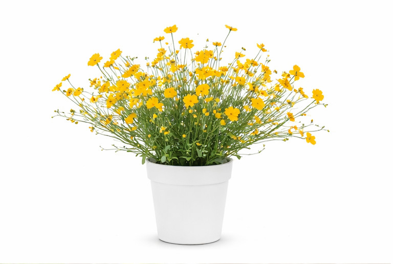 Baby&rsquo;s Breath Flowers Yellow Farmhouse Decor Potted Fake Plants Faux Plants