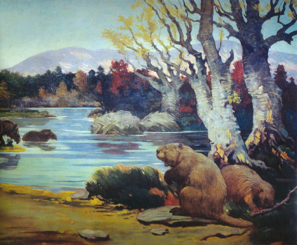 Charles R Knight Castoroides : Giant Beaver Illustration : Art Print 1921