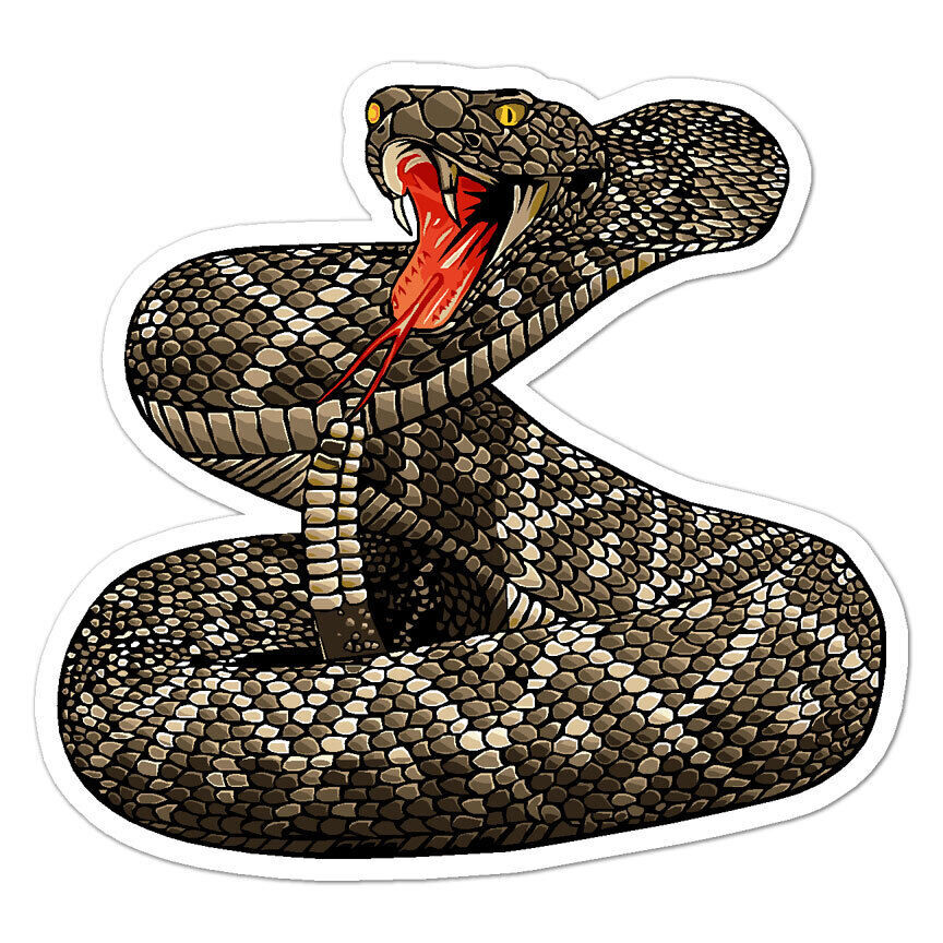 Rattle Snake Sticker Decal