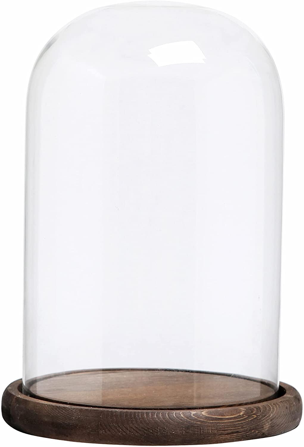 Clear Glass Cloche Bell Jar Display Case with Rustic Wood Base, 10 X 7 Inches